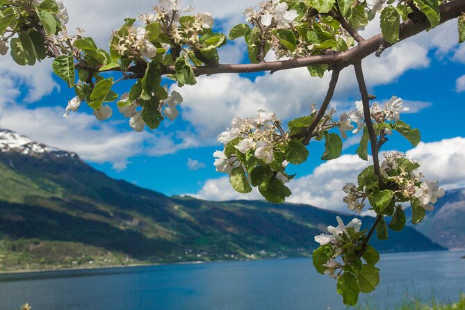 Guided tour to Hardanger Fjord, Waterfalls and Ferry Crossing - Norheimsund is your lunch pause