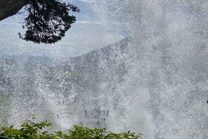 Guided tour to Hardanger Fjord, Waterfalls and Ferry Crossing - Road 550 brings orchards and changing views