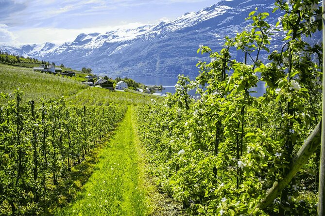 Guided tour to Hardangerfjord with Waterfalls and Ferry Crossing - Two quick waterfalls before Norheimsund