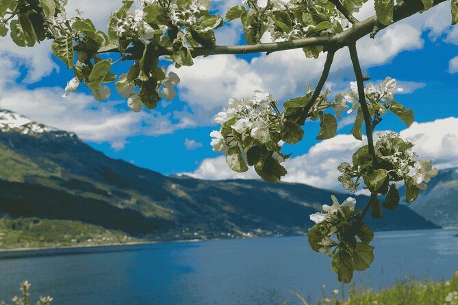 Guided tour to Hardangerfjord with Waterfalls and Ferry Crossing - Utne and Herand show a quieter side of the fjord