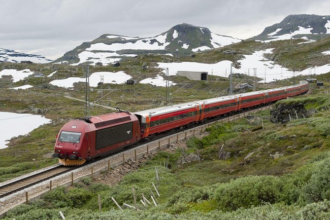 Guided tour - Viking Village, Nærøyfjord Cruise and Flåm Railway - Myrdal to Voss, then back to Bergen