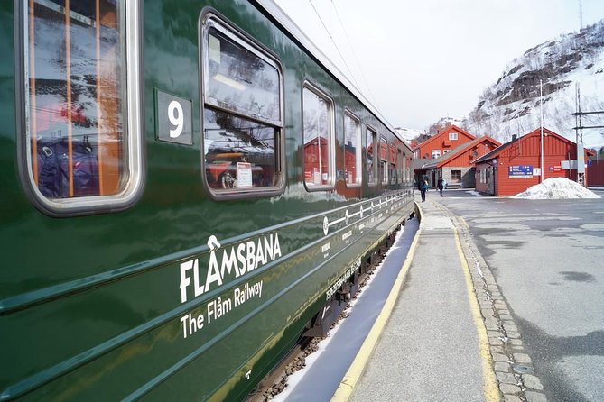 Guided tour - Viking Village, Nærøyfjord Cruise and Flåm Railway - Who will enjoy this day most?