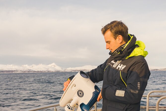 Half Day Arctic Fjord Cruise from Tromso - Key points to know before booking