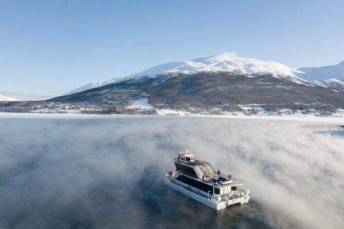 Half Day Arctic Fjord Cruise from Tromso - Ramfjorden and the search for Arctic wildlife