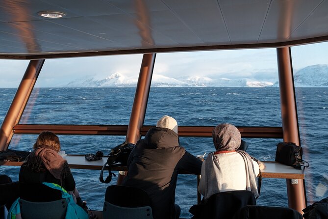 Half Day Arctic Fjord Cruise from Tromso - Is $128.31 a fair price?