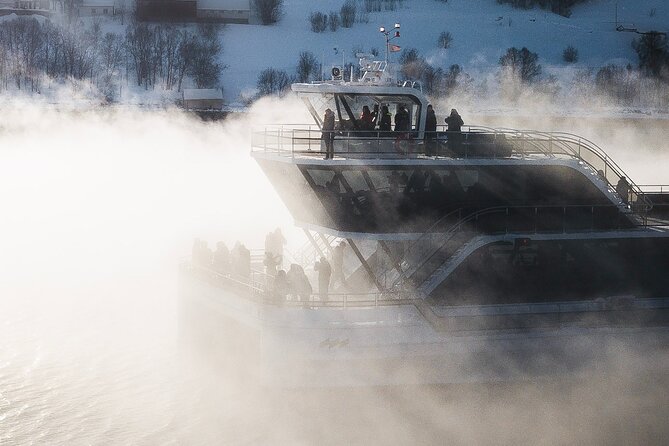 Half Day Arctic Fjord Cruise from Tromso - Practical advice for a better four hours