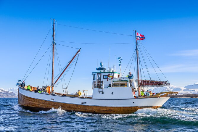 Half-Day Fishing & Fjord Cruise Adventure from Tromsø in Norway - Setting out from Tromsø at 9:00 a.m.