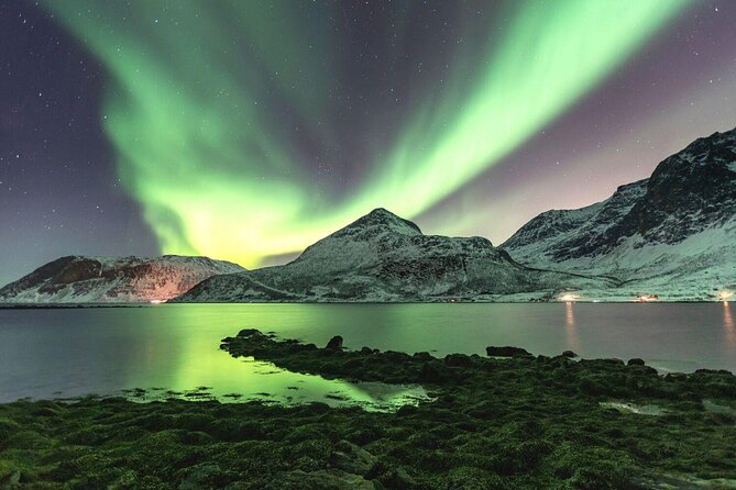 Half-Day Scenic Wildlife & Photographic Fjord Tour. - Key points to know before booking
