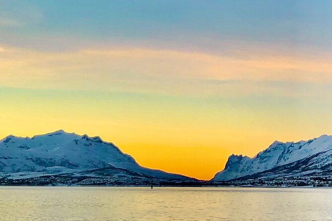 Half-Day Scenic Wildlife & Photographic Fjord Tour. - Winter light and the blue period