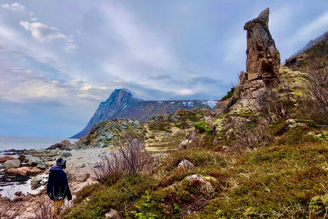 Half-Day Scenic Wildlife & Photographic Fjord Tour. - Is $193.31 a fair price?
