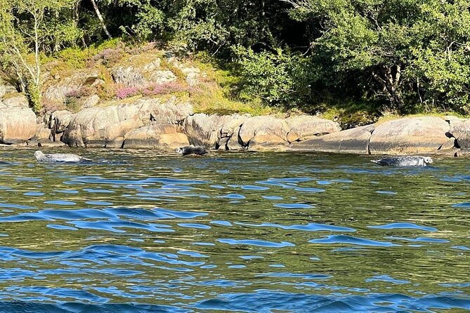 Inshore fishing in the Drangefjord - Guides who make beginners feel at ease