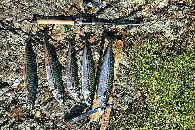 Inshore fishing in the Drangefjord - Is $121.47 a fair price?