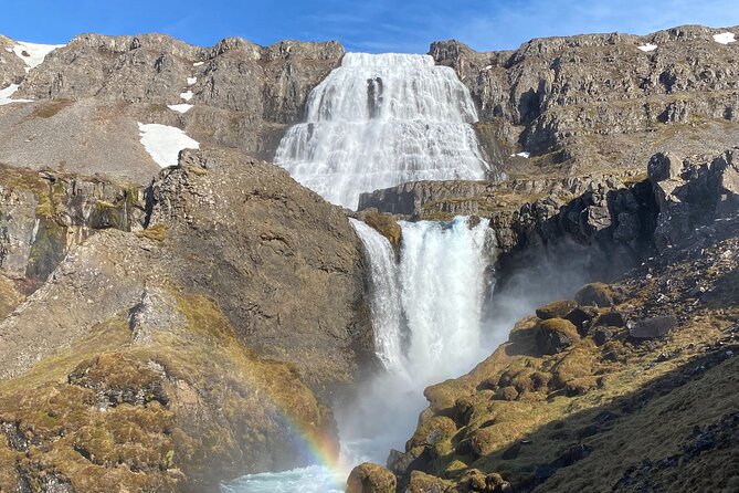 Isafjordur and Westfjords Private Tour - Key points at a glance