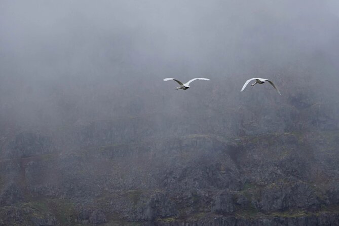 Isafjordur and Westfjords Private Tour - Dynjandi, the reason many people book