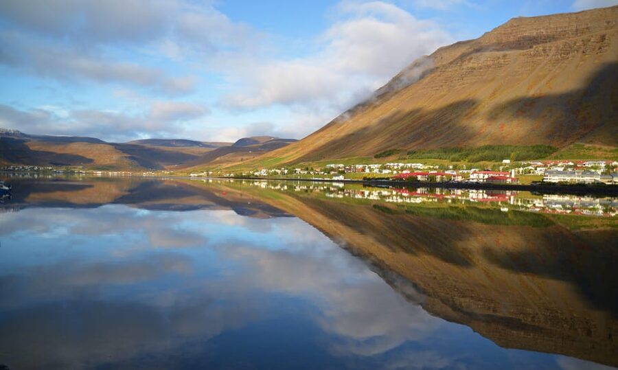 Isafjordur: Dynjandi Waterfall Guided Tour - What the guides add to the day
