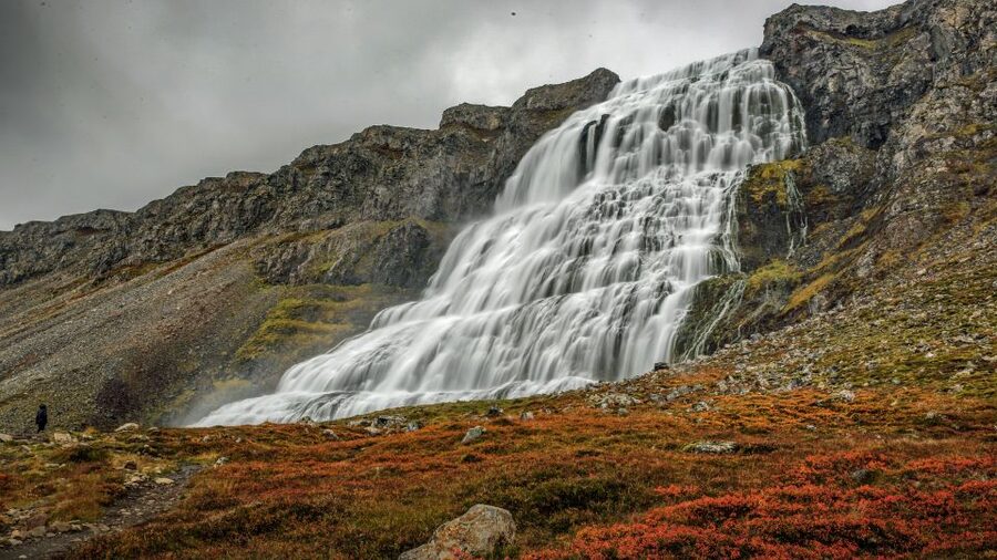 Isafjordur: Dynjandi Waterfall Tour and Icelandic Farm Visit - Key things to know before you go