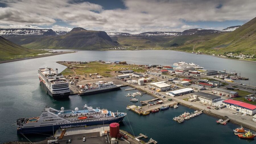 Isafjordur: Dynjandi Waterfall Tour and Icelandic Farm Visit - Coffee, tea, and happy marriage cake