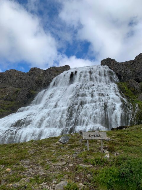 Isafjordur: Dynjandi Waterfall Tour and Icelandic Farm Visit - Who should book this excursion?