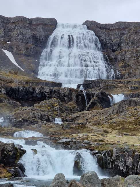 Ísafjörður Shore Excursion: Dynjandi & Westfjords - Key points before you book