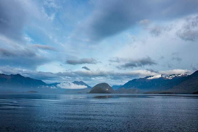 Jet Boat Journey through Fiordland National Park - Pure Wilderness - The return trip brings back the thrills
