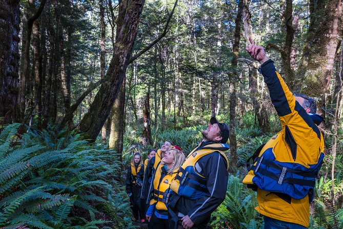 Jet Boat Journey through Fiordland National Park - Pure Wilderness - Is $127.22 good value?
