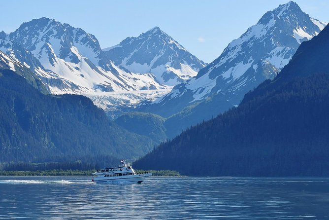 Kenai Fjords and Resurrection Bay Half-Day Wildlife Cruise - Bear Glacier and the changing ice