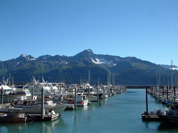 Kenai Fjords and Resurrection Bay Half-Day Wildlife Cruise - Staying warm, dry, and comfortable