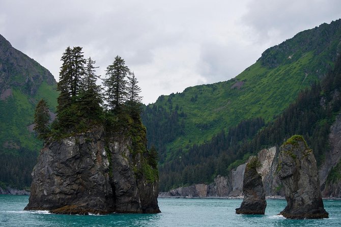 Kenai Fjords and Resurrection Bay Half-Day Wildlife Cruise - Check-in at Harbor 360 Hotel