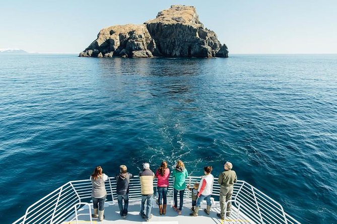 Kenai Fjords National Park Glacier Dinner Cruise from Seward - What the crew adds to the day