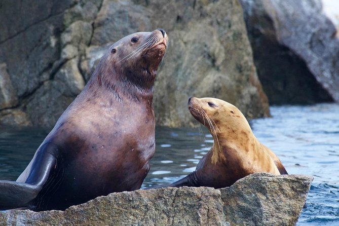 Kenai Fjords National Park Glacier & Wildlife Cruise - Leaving Seward through Resurrection Bay
