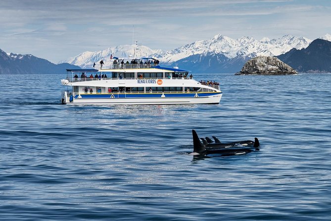 Kenai Fjords National Park Glacier & Wildlife Cruise - Holgate Glacier and Aialik Glacier: what to expect