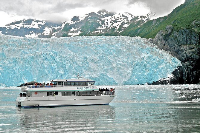 Kenai Fjords National Park Glacier & Wildlife Tour from Seward - Cape Ailiak and Aialik Bay