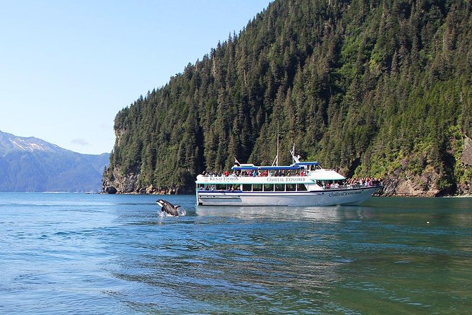 Kenai Fjords National Park Glacier & Wildlife Tour from Seward - Is the $223.85 price fair?
