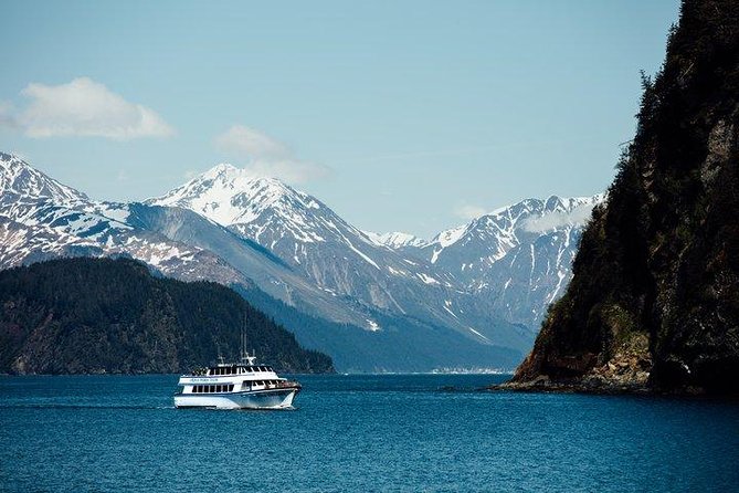 Kenai Fjords National Park Glacier & Wildlife Tour from Seward - Seabirds at the Alaska Maritime National Wildlife Refuge