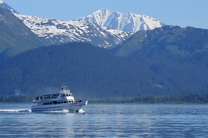 Kenai Fjords Orca Quest Cruise - Is $165.93 a fair price?