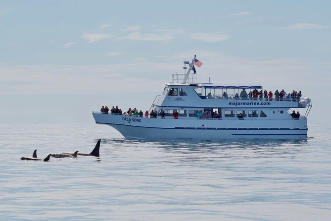 Kenai Fjords Orca Quest Cruise - Kenai Fjords National Park and the open water