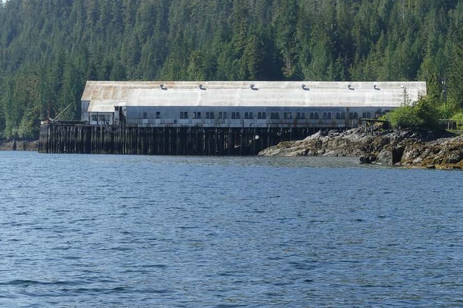 Ketchikan: Scenic Drive & George Inlet Fjords Zodiac Cruise - Who should book this Zodiac tour?