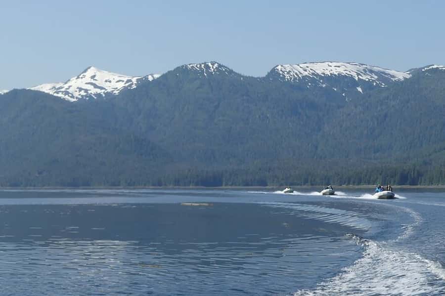 Ketchikan: Scenic Drive & George Inlet Fjords Zodiac Cruise - Wildlife watching from a small boat