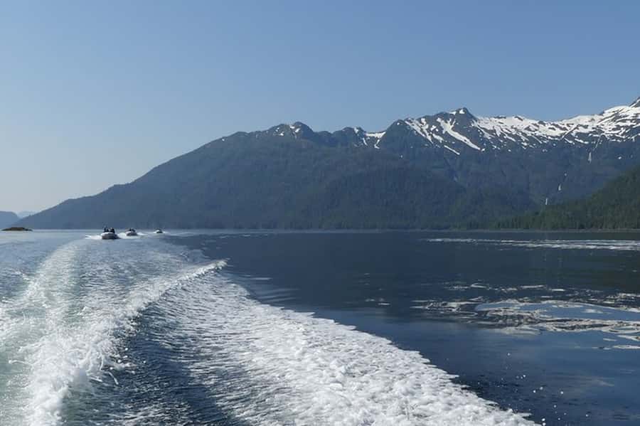 Ketchikan: Scenic Drive & George Inlet Fjords Zodiac Cruise - What the guide adds to the experience