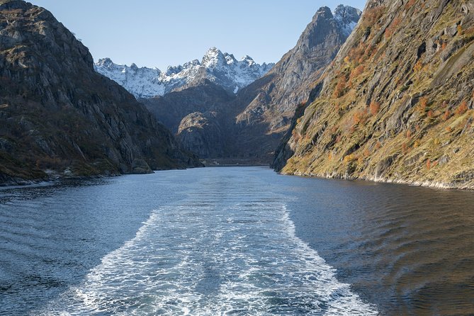Lofoten Island: Silent Trollfjord Cruise from Svolvær - Trollfjord: steep walls and sea eagles