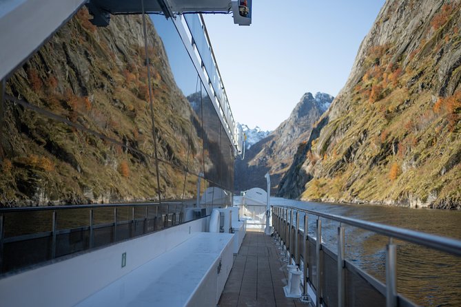 Lofoten Island: Silent Trollfjord Cruise from Svolvær - The underwater drone is a useful extra