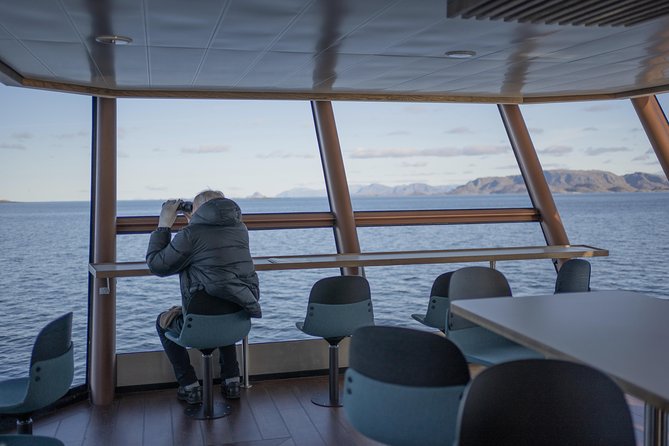 Lofoten Island: Silent Trollfjord Cruise from Svolvær - Seating, decks, food, and comfort