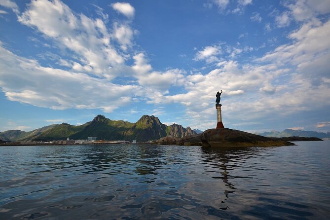 Lofoten RIB Sea Eagle Safari and Trollfjord Cruise - Price and value at $128.94