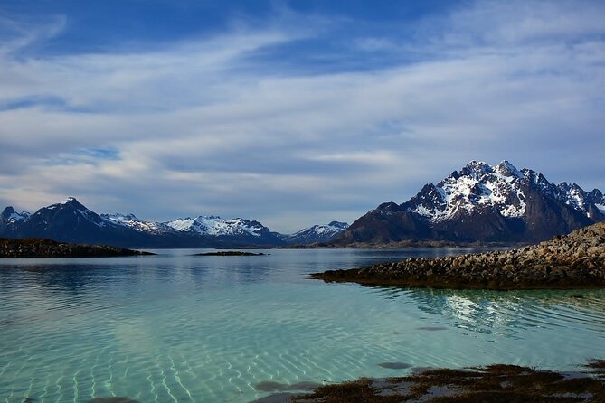 Lofoten RIB Sea Eagle Safari and Trollfjord Cruise - Who will enjoy this RIB safari most