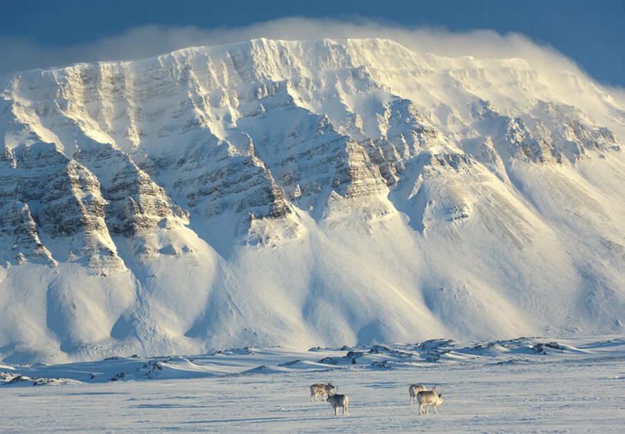 Longyearbyen: Snowmobile Tour to Tempelfjorden with Lunch - Why This Ride Is More Than a Snowmobile Rental