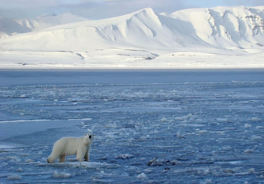 Longyearbyen: Snowmobile Tour to Tempelfjorden with Lunch - The Safety Briefing and Your First Drive