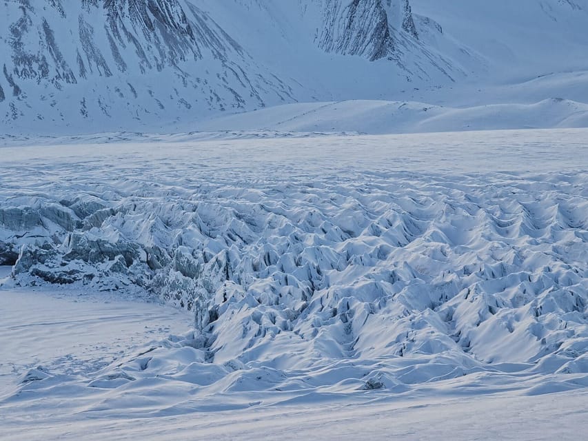 Longyearbyen: Snowmobile Tour to Tempelfjorden with Lunch - Who Should Book This Svalbard Excursion?
