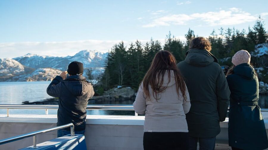 Lysefjorden cruise & Preikestolen guided hike - winter - Key things to know before you book