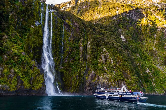 Milford Sound Luxury Lunch Cruise onboard The Fiordland Jewel - Wildlife Watching Along the Fiord