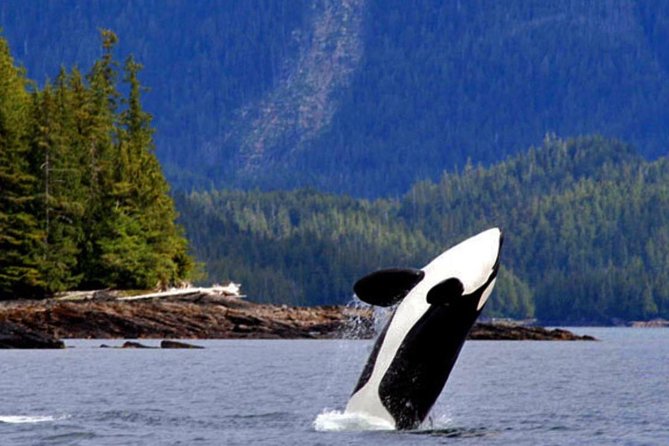 Misty Fjords Expedition - 6 Passenger Boat - Is $400 per person a fair price?